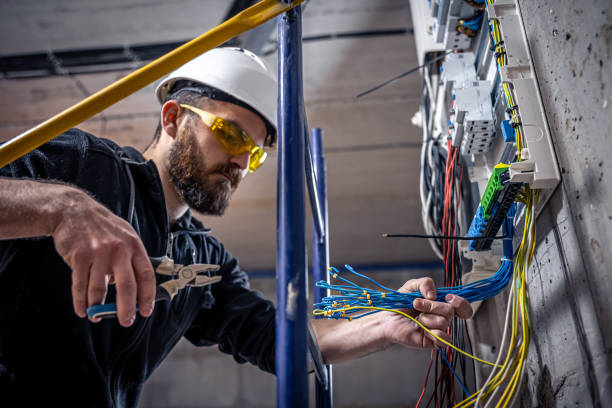 Best Licensed Electrician  in Rockwood, TN